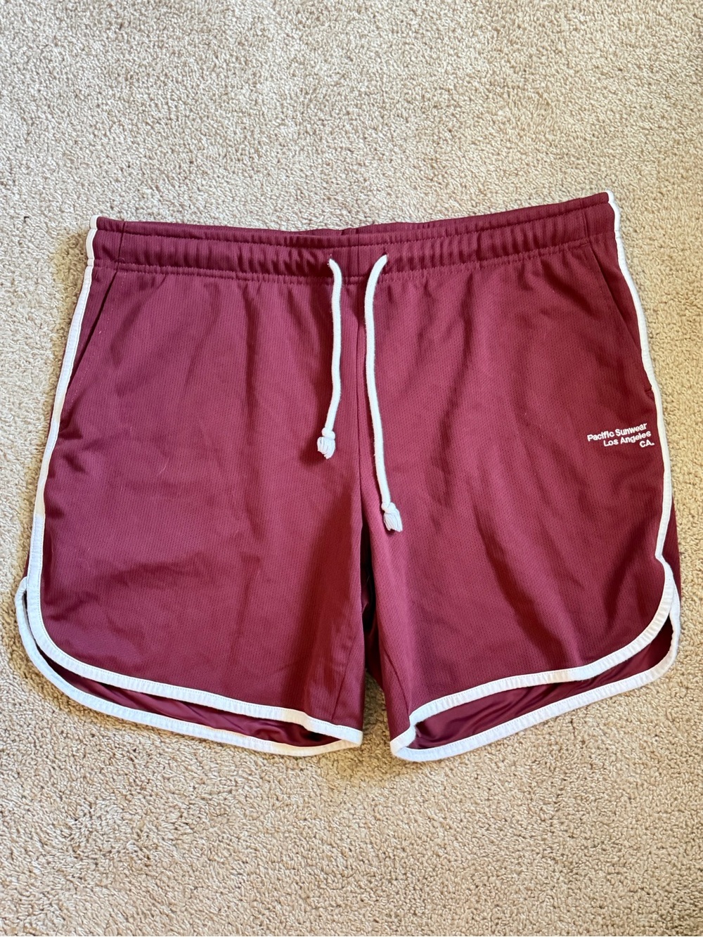 PACsun Men’s volley Shorts